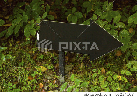 a pointer arrow in the forest a pointer arrow in the forest 95234168