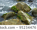 close-up of the sea and stones, Azov sea, Ukraine 95234476