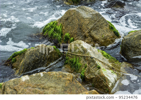 close-up of the sea and stones, Azov sea, Ukraine 95234476
