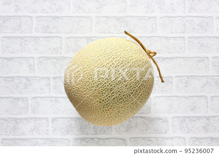 A ripe melon ready to eat A ripe melon ready to eat 95236007