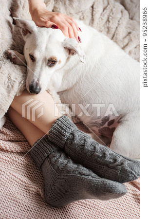Legs of a young girl in cozy knitted socks Legs of a young girl in cozy knitted socks 95238966