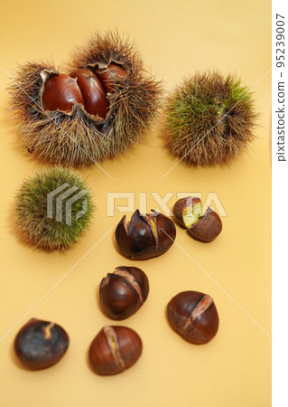 Autumn taste, Iga chestnuts and cracked roasted chestnuts 95239007