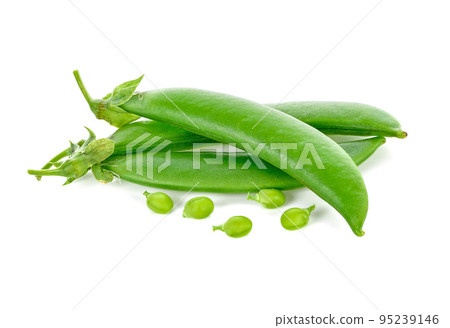 fresh green peas isolated on a white background 95239146