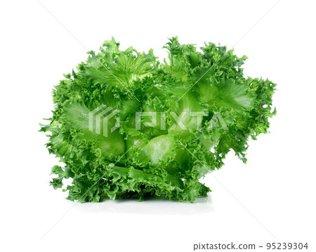 Fresh green lettuce leafs isolated on white background Fresh green lettuce leafs isolated on white background 95239304