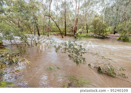 Melbourne Flood Emergency 2022 Melbourne Flood Emergency 2022 95240109