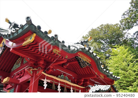 箱根神社初夏 箱根神社初夏 95240480