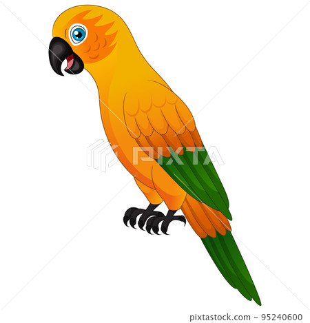 Cute macaw parrot on white background Cute macaw parrot on white background 95240600