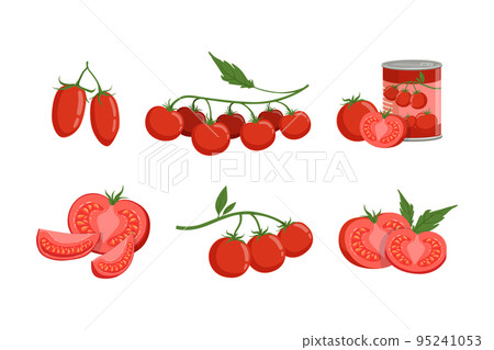Red Tomato Food with Raw Vegetable and Canned Product Vector Set 95241053