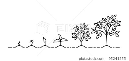 growth stages of a tree from a green leaf to a natural plant. Concept of plant growth. 95241255