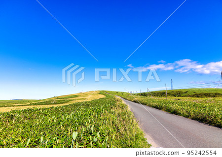 Cape Soya (September sunny) 95242554