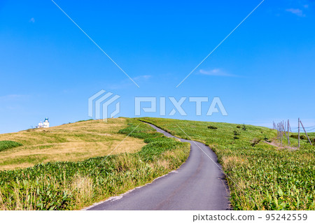 Cape Soya (September sunny) 95242559