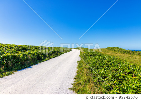 Cape Soya (September sunny) 95242570