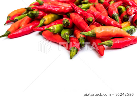 新鮮收穫的五顏六色的辣椒 95242586