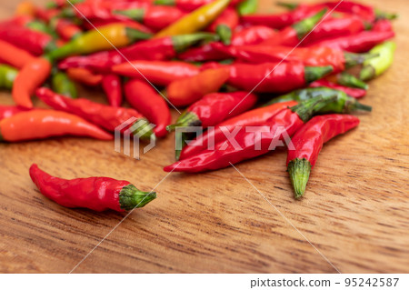 新鮮收穫的五顏六色的辣椒 95242587