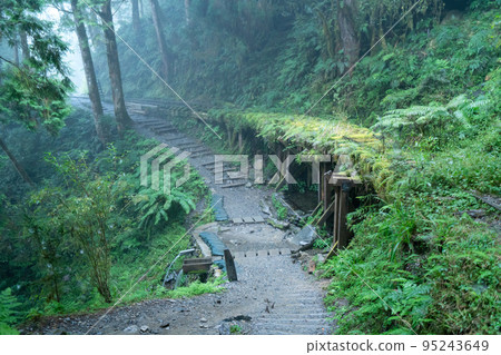 太平山 見晴古道 見晴懷古步道 小徑 Jianqing trail Taipingshan 95243649