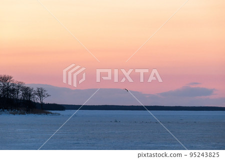 Dusk of Lake Furen Winter 95243825