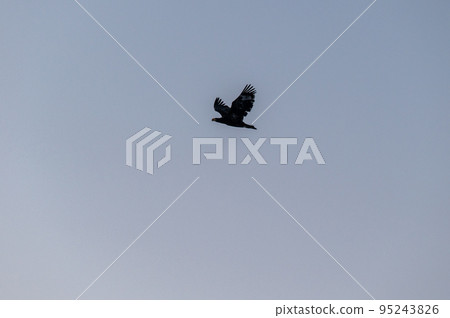 Dusk of Lake Furen Winter Dusk of Lake Furen Winter 95243826