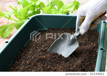 A person's hand preparing for planter cultivation 95244661