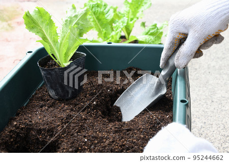 一個人的手準備種植種植 95244662