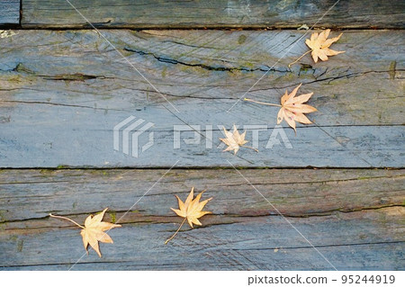 Fallen leaves of autumn leaves on an old board Background material Fallen leaves of autumn leaves on an old board Background material 95244919