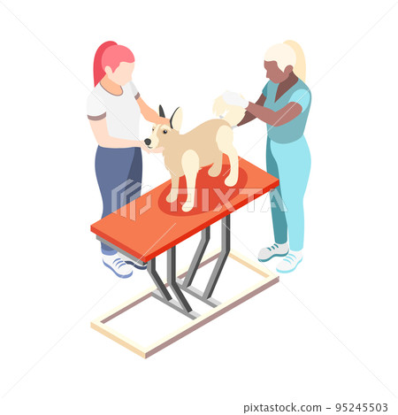 Isometric Vet Illustration 95245503