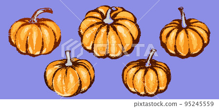 Pumpkin set for decoration halloween or thanksgiving day holidays 95245559