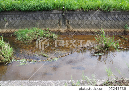 從灌溉渠底部沉積的沉積物中長出草的景象 95245786
