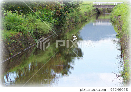 安靜的水道風景與白鷺（插圖風格） 95246058