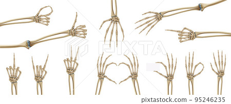 Skeleton Hands Icon Set 95246235