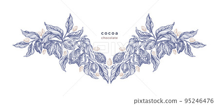 Cocoa beans. Vector illustration Organic chocolate 95246476