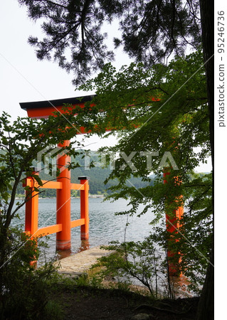 Hakone Shrine Torii of peace in early summer Hakone Shrine Torii of peace in early summer 95246736