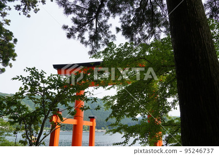 Hakone Shrine Torii of peace in early summer Hakone Shrine Torii of peace in early summer 95246737
