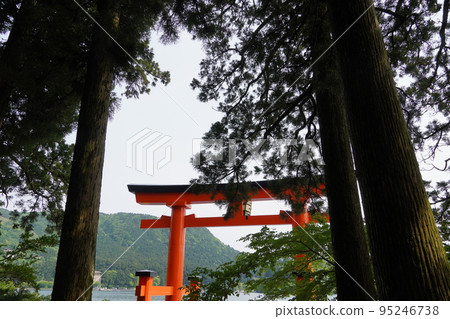 Hakone Shrine Torii of peace in early summer Hakone Shrine Torii of peace in early summer 95246738