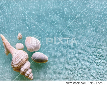 貝殼 95247259