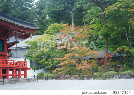 輪王寺的初秋 95247304