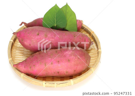 鮮紅薯（絲甜） 95247331