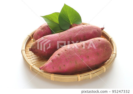 Fresh sweet potato (silk sweet) 95247332