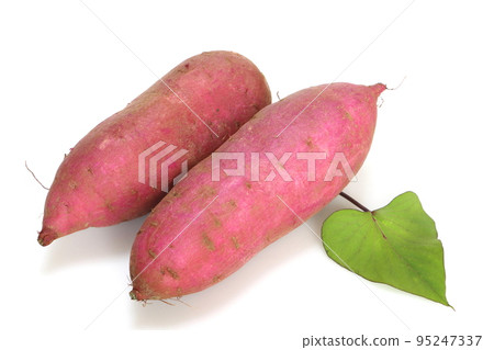 Fresh sweet potato (silk sweet) 95247337