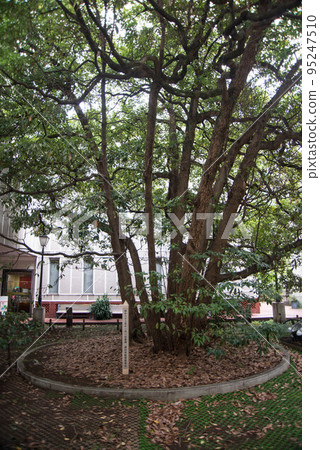 Yokohama Port Opening Museum Vietnam Festa Inn Kanagawa 2022 Day 95247510