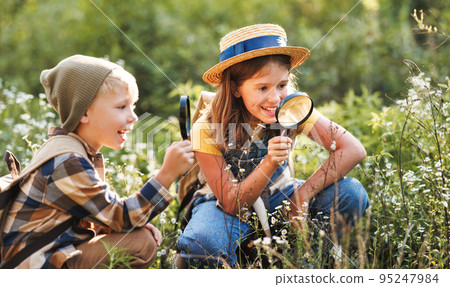 Two little kids with backpacks examining plants through magnifying glass in forest 95247984