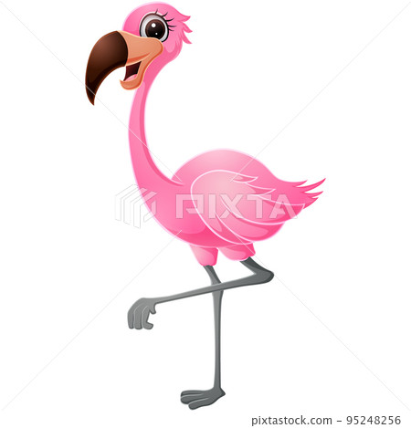 Cute flamingo on white background 95248256