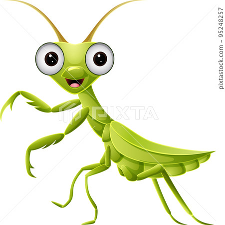 Cute green mantis on white background 95248257