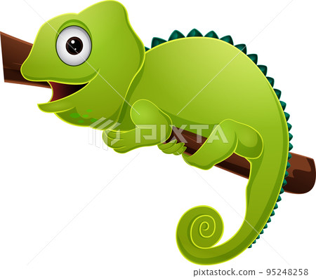 Cute green chameleon on tree branch 95248258