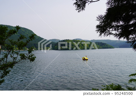 箱根蘆之湖鴨遊行 箱根蘆之湖鴨遊行 95248500