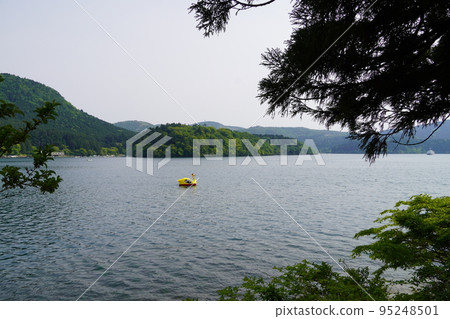 箱根蘆之湖鴨遊行 箱根蘆之湖鴨遊行 95248501