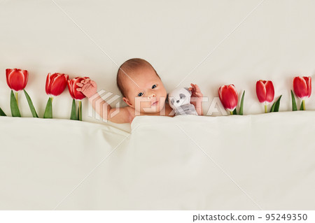 cute newborn baby with red tulips and teddy bear toy 95249350