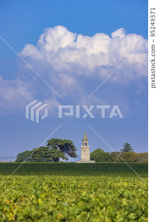 Typical vineyards near Chateau la Tour de By, Bordeaux, Aquitaine, France 95249371