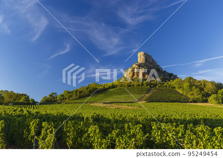 Rock of Solutre with vineyards, Burgundy, Solutre-Pouilly, France Rock of Solutre with vineyards, Burgundy, Solutre-Pouilly, France 95249454
