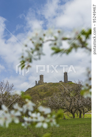 Ruins of Hazmburk Castle, Czech Republic 95249467