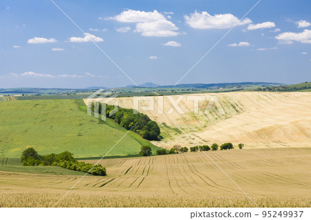 landscape called Moravian Tuscany, Southern Moravia, Czech Republic landscape called Moravian Tuscany, Southern Moravia, Czech Republic 95249937